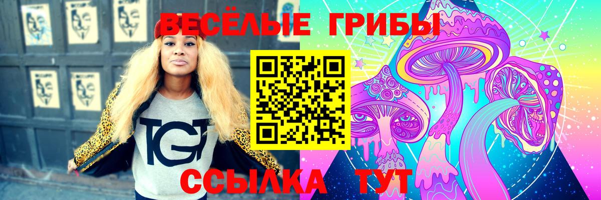 Псилоцибиновые грибы мухоморы  Вход с VPN  где можно купить   Тайшет 