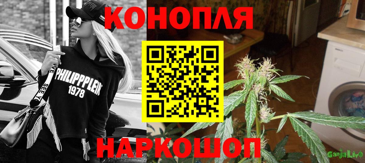 Конопля Bruce Banner  Вход с VPN  Тайшет  Марихуана сатива  Бошки Шишки ГИДРОПОН  МАРИХУАНА сатива 